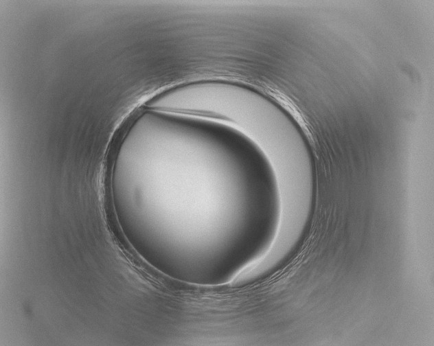 X0000116430387200912221509