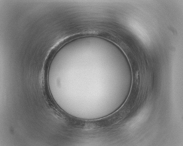 X0000116430388200912221509