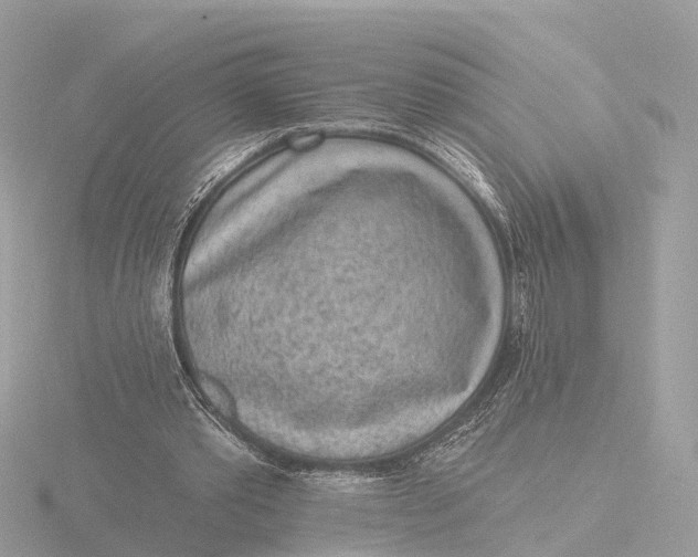 X0000116430389200912221509