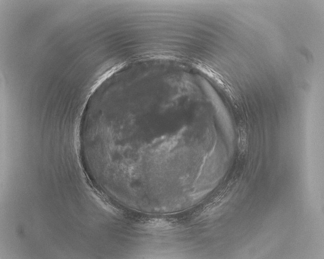 X0000116430390200912221509