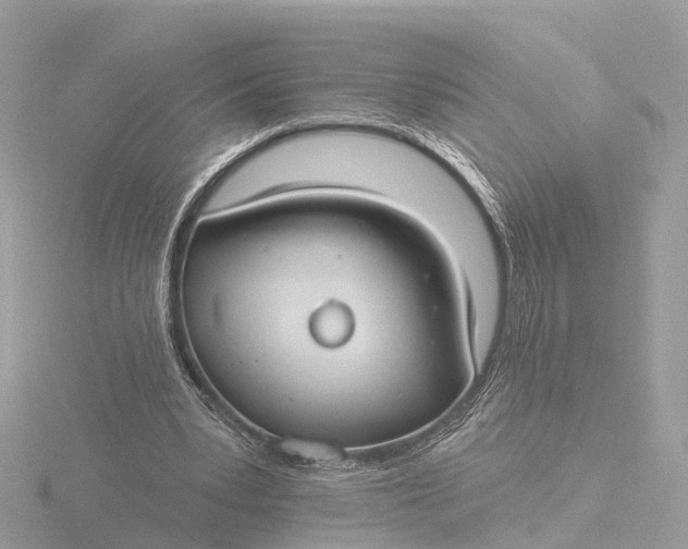 X0000116430391200912221509