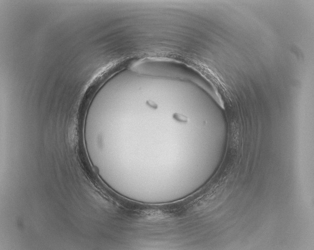 X0000116430392200912221509