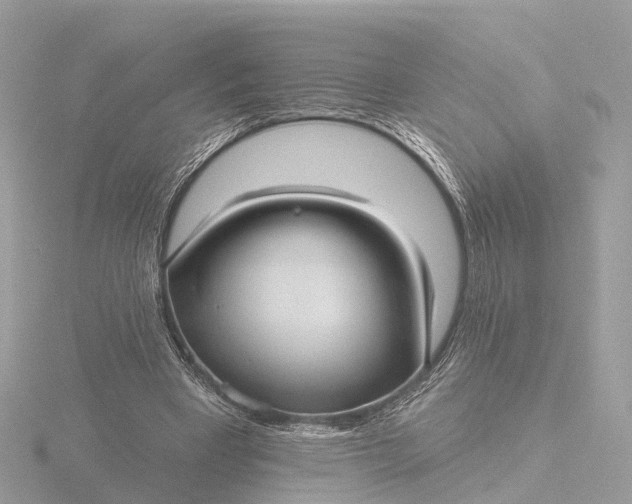 X0000116430393200912221509