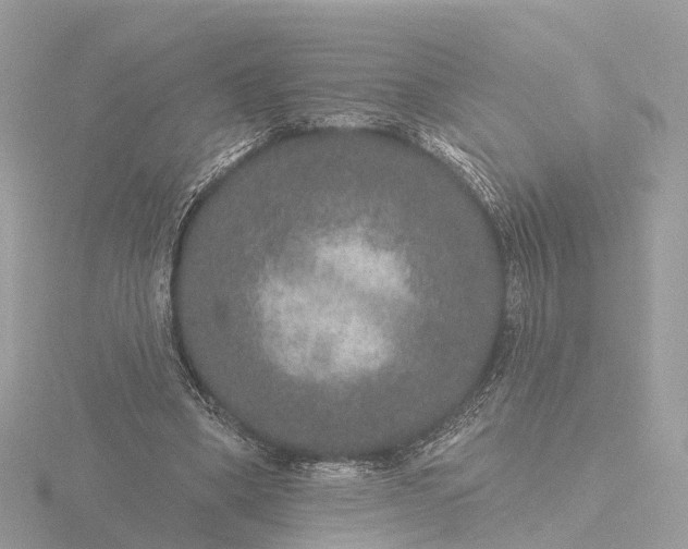 X0000116430394200912221509