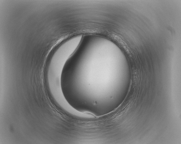 X0000116430395200912221509