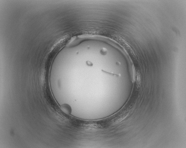 X0000116430396200912221509