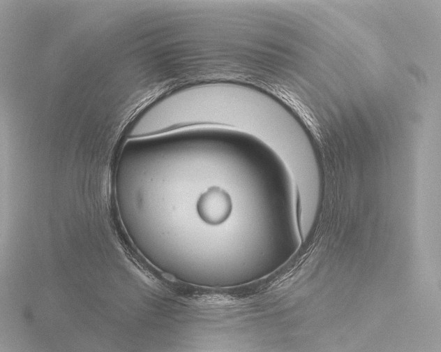 X0000116430397200912221509