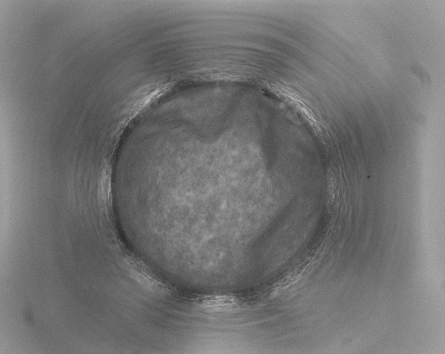 X0000116430398200912221509