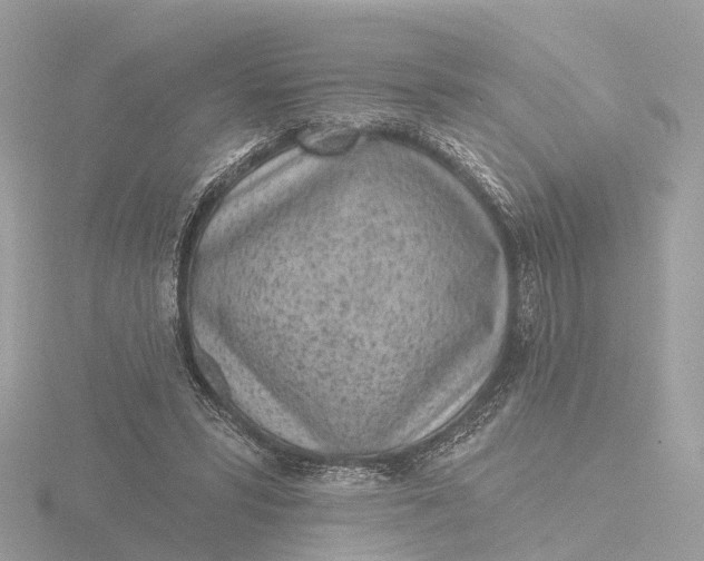 X0000116430399200912221509