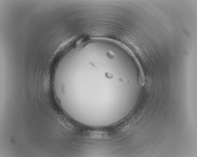 X0000116430400200912221509