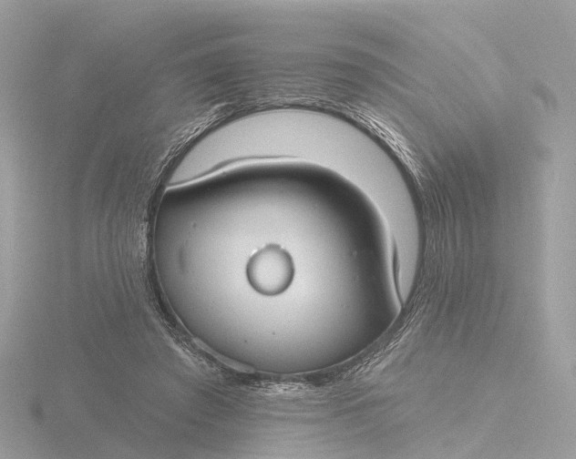 X0000116430401200912221509