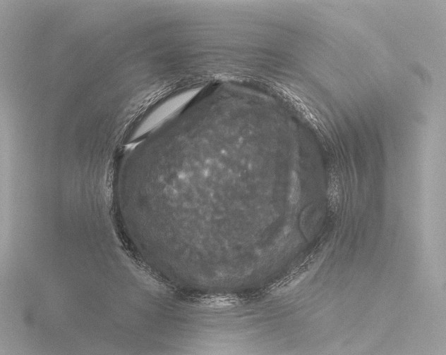 X0000116430402200912221509