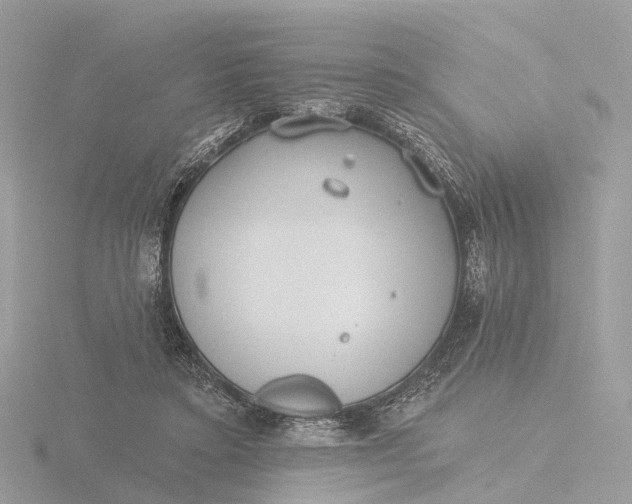 X0000116430403200912221509