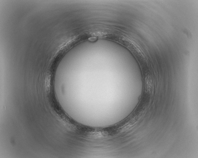 X0000116430404200912221509