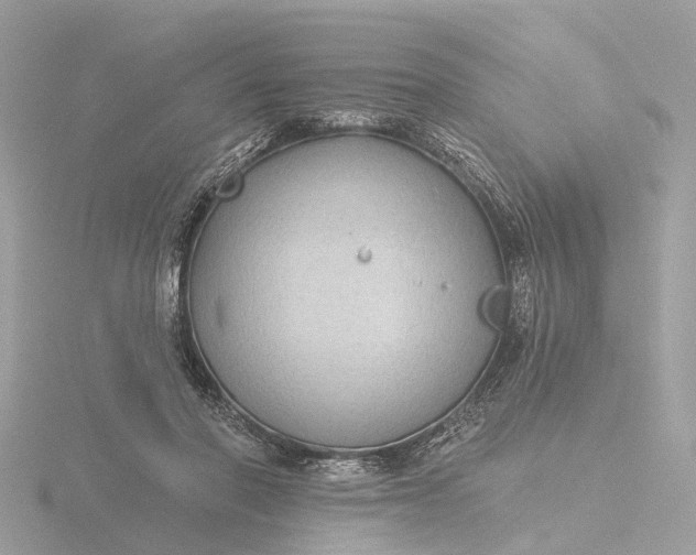 X0000116430406200912221509