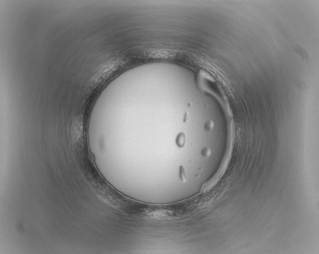 X0000116430407200912221509