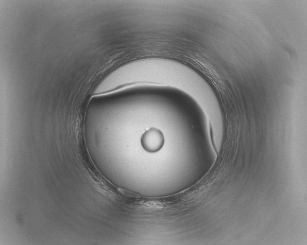 X0000116430409200912221509