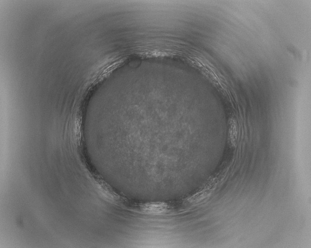 X0000116430410200912221509