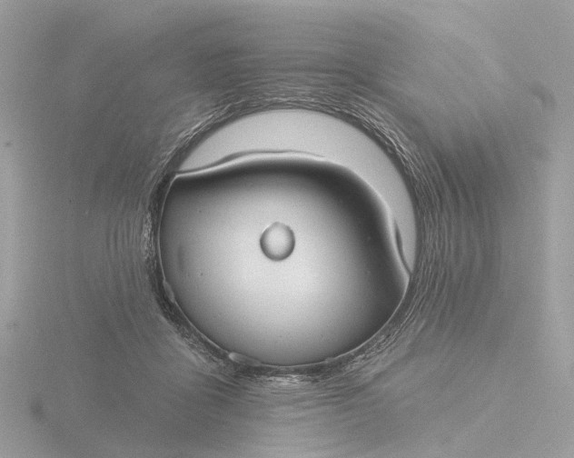 X0000116430411200912221509