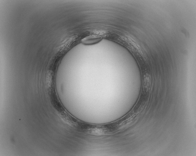 X0000116430412200912221509