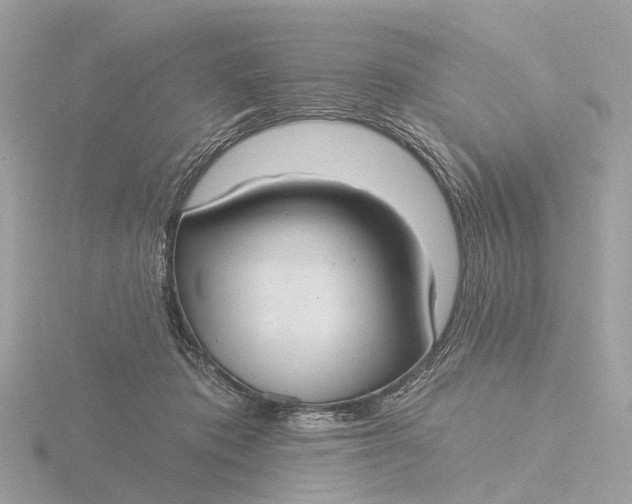 X0000116430413200912221509