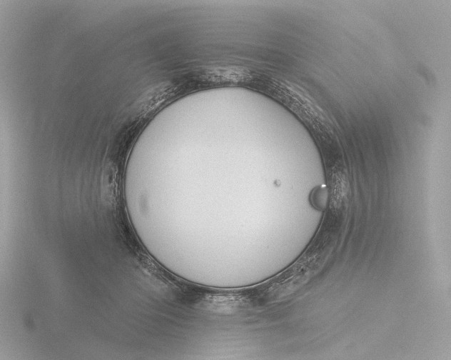 X0000116430414200912221509