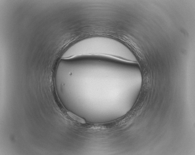 X0000116430415200912221509