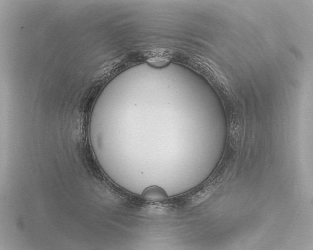 X0000116430416200912221509