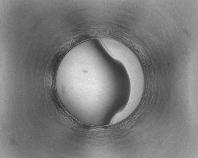 X0000116430417200912221509