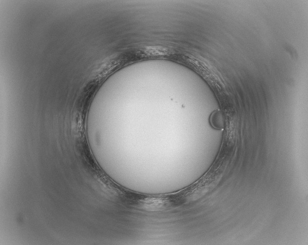 X0000116430418200912221509