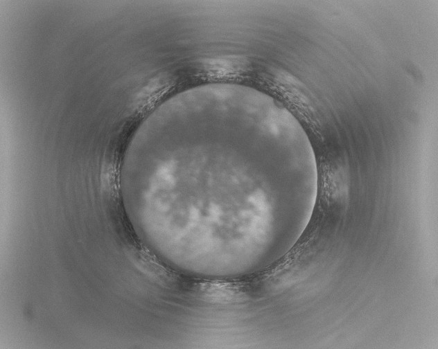 X0000116430419200912221509