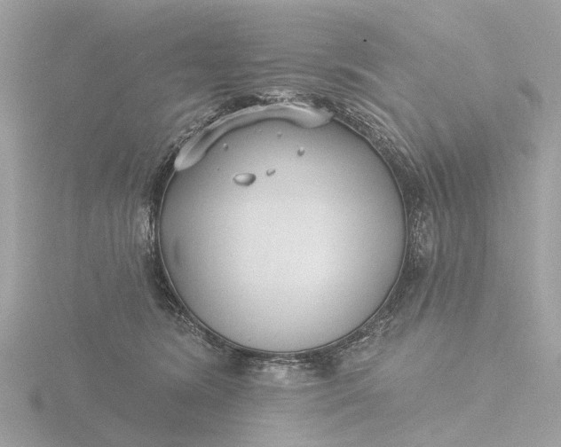 X0000116430420200912221509