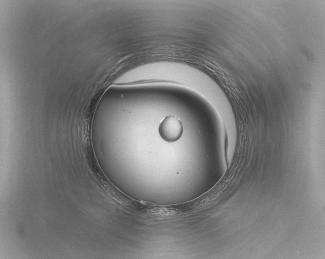 X0000116430421200912221509