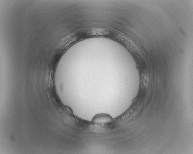 X0000116430422200912221509