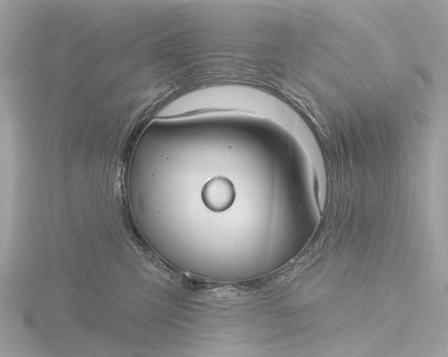 X0000116430423200912221509