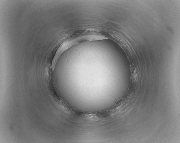 X0000116430424200912221509