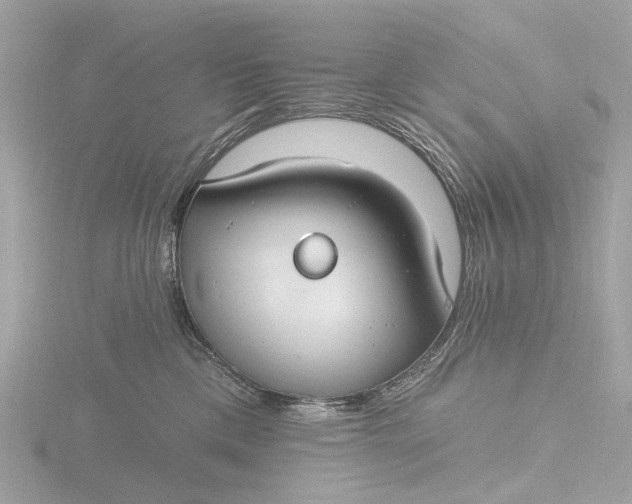 X0000116430425200912221509