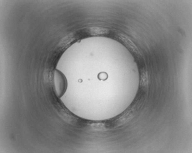 X0000116430426200912221508