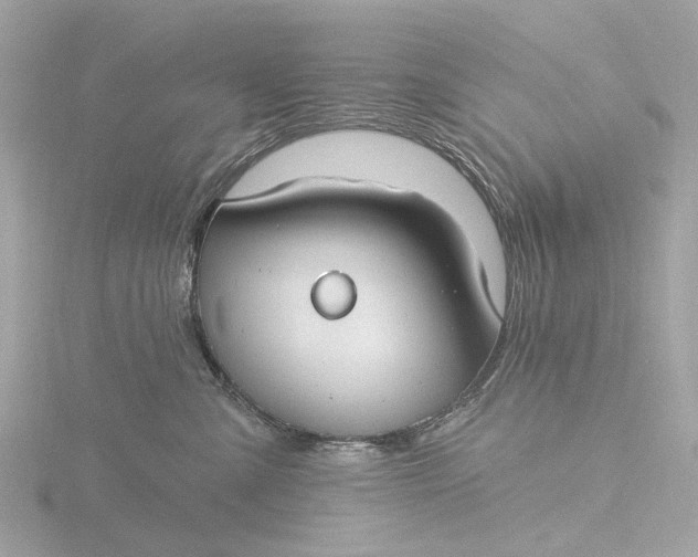 X0000116430427200912221508