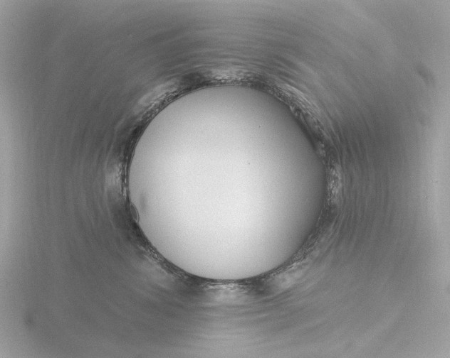 X0000116430428200912221508