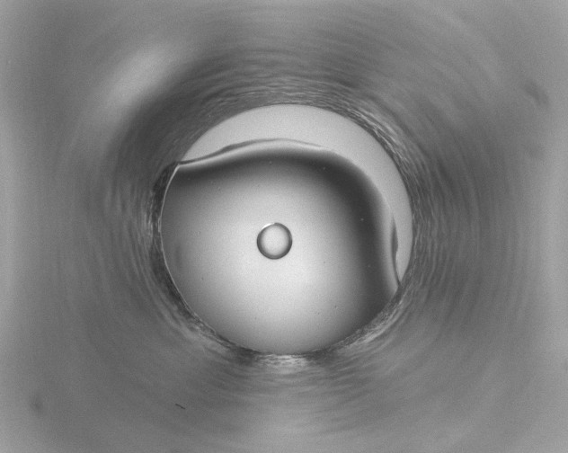 X0000116430429200912221508