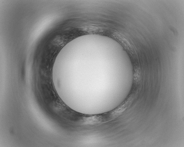 X0000116430430200912221508