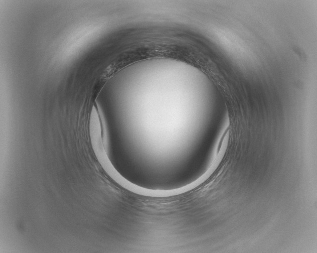 X0000116430431200912221508