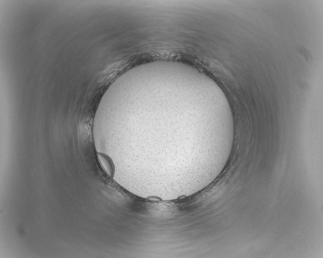 X0000116430432200912221508