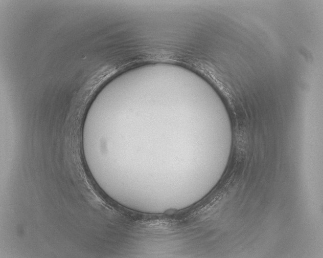 X0000116430433200912221508