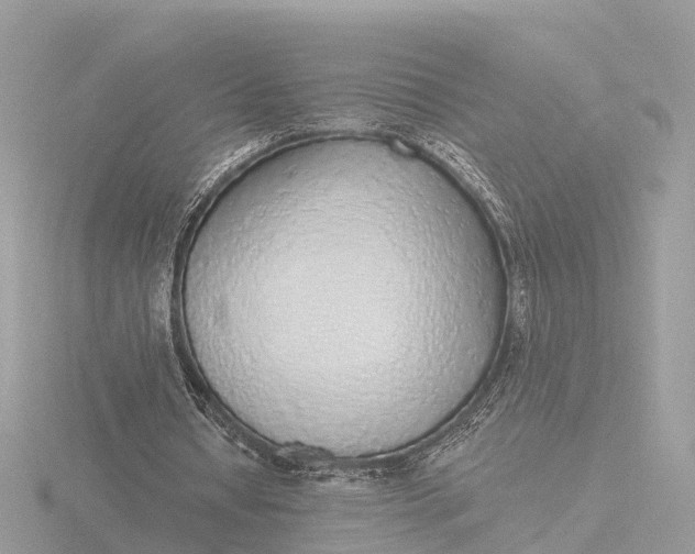 X0000116430434200912221508