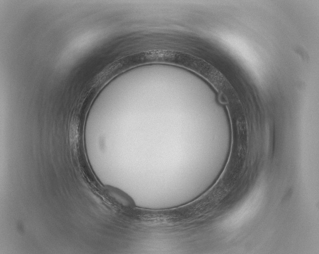 X0000116430435200912221508