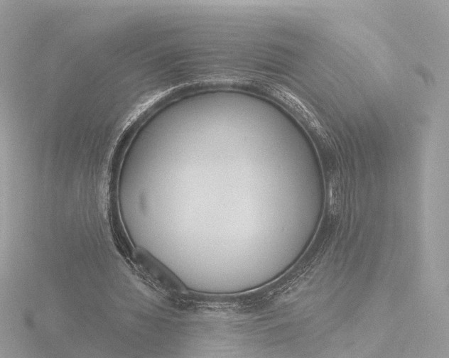 X0000116430436200912221508