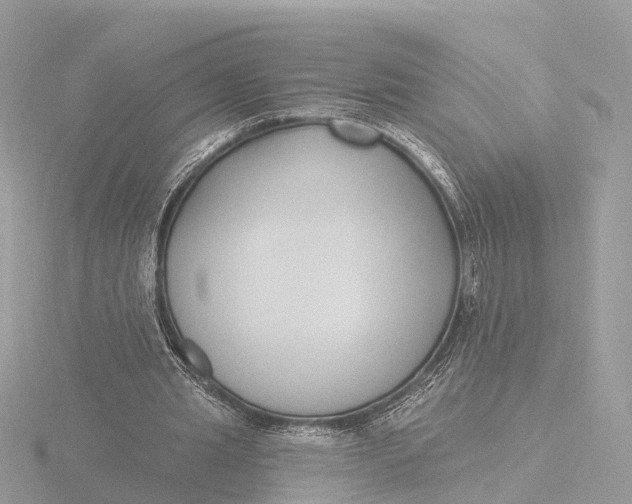 X0000116430437200912221508