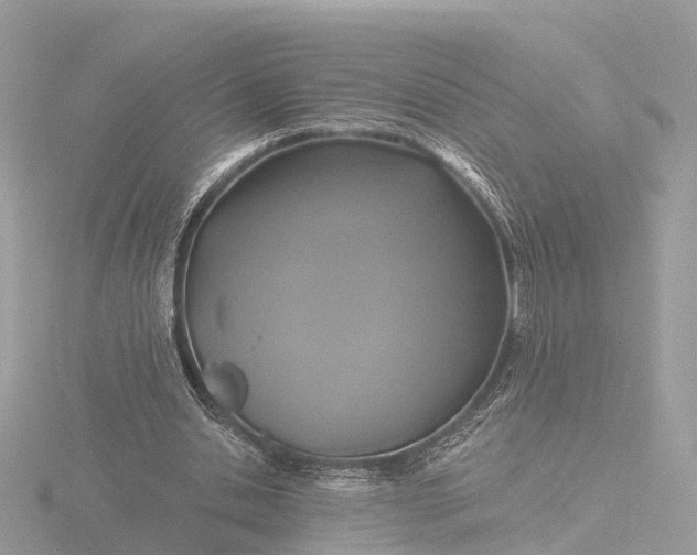 X0000116430438200912221508